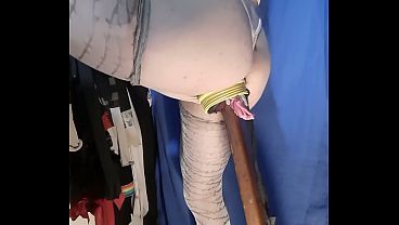 Gata De Biquíni Novo Sensual Curte Mostrar Bundinha