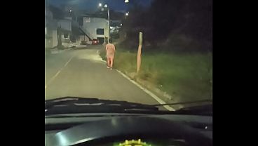 Pov Recolho Linda Latina Na Rua E Dou Uma Boa Na Bunda Dela